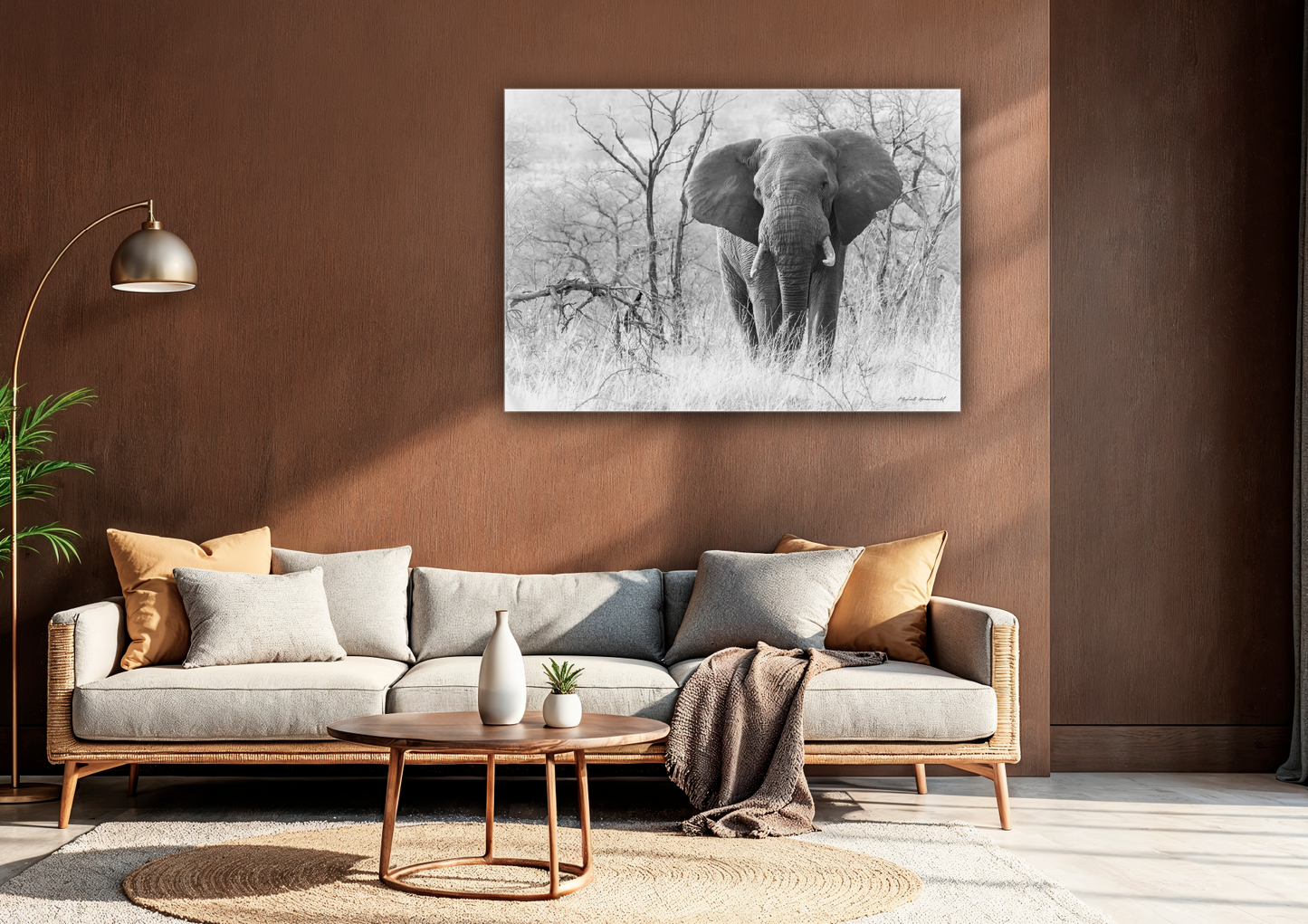 Elephant Dry Savanna