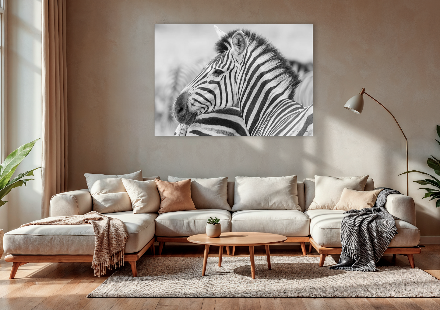 Zebra Portrait