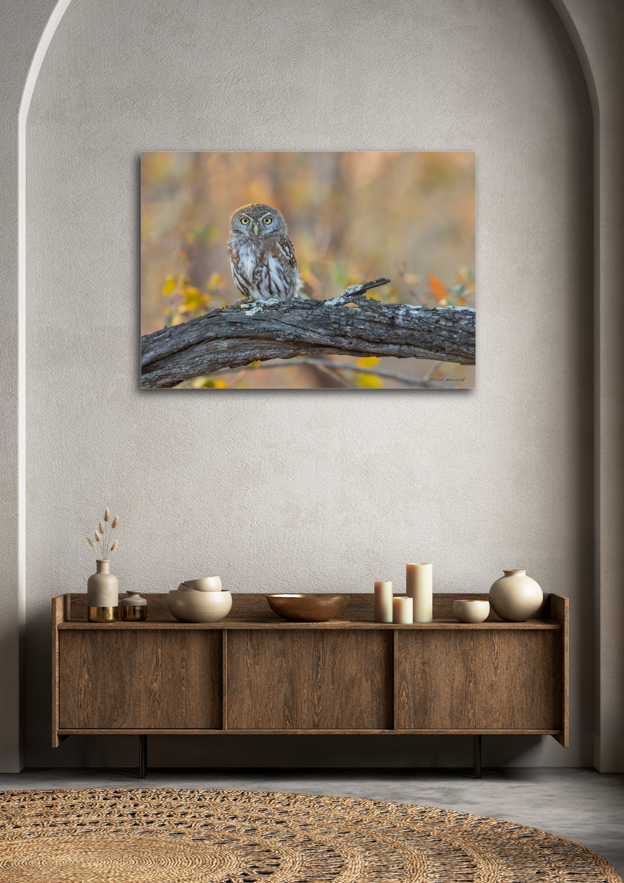 Pearl-Spotted Owlet