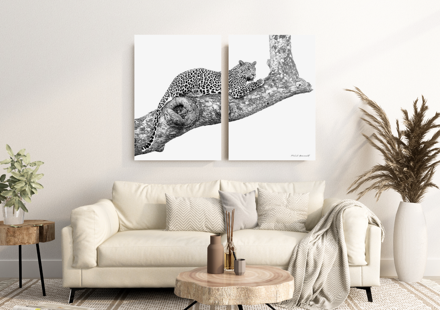Leopard on Branch