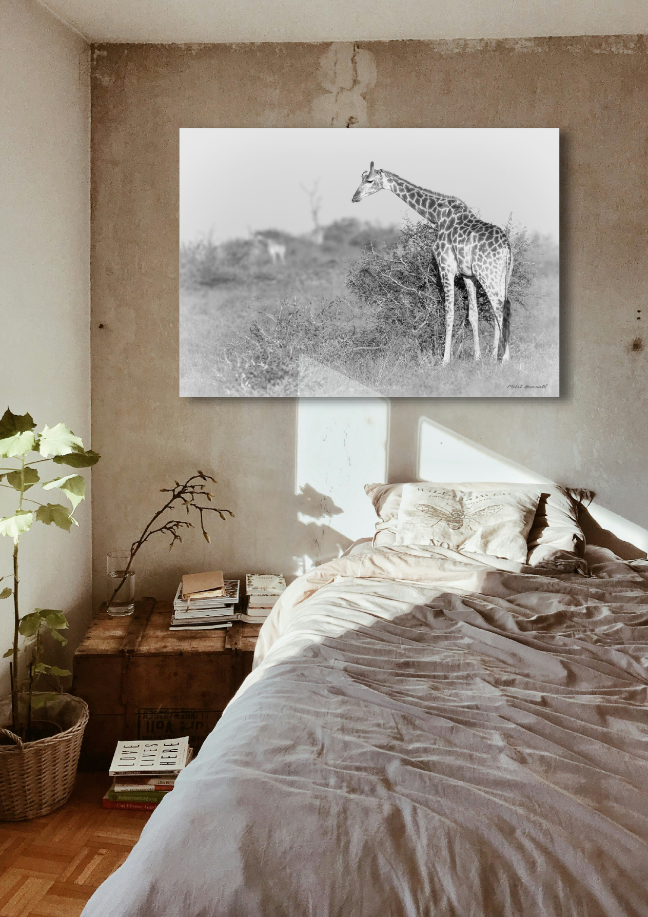 Giraffe
